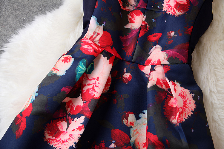 Vintage Print Round Neck Dress