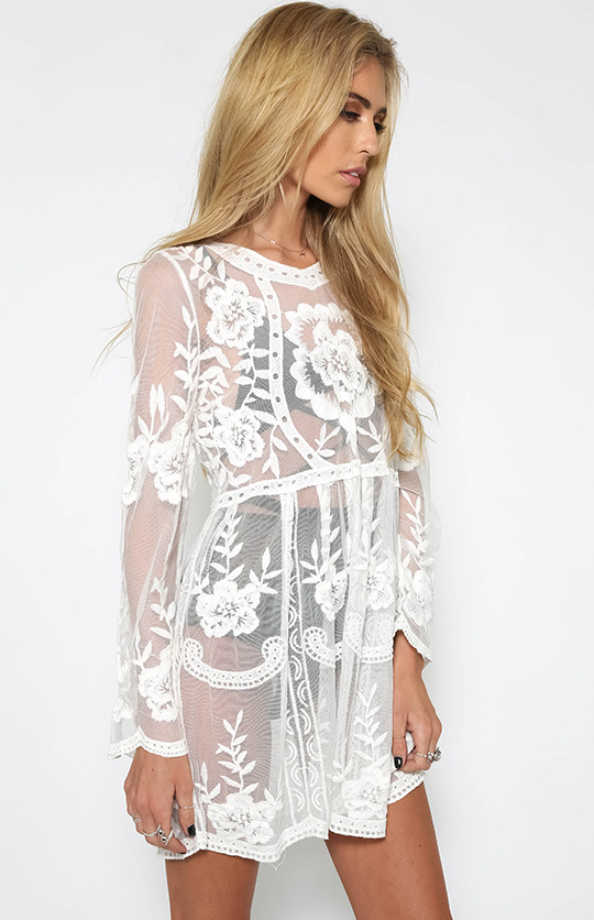 Sexy Embroidery Sleeve See-through Lace Dress on Luulla